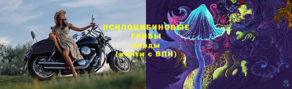 ALPHA PVP Магадан