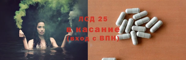 эйфоретик Майский