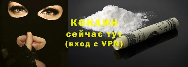 эйфоретик Майский