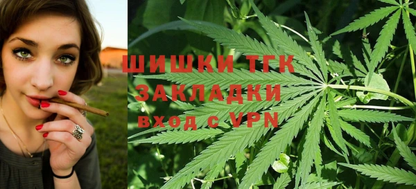 мяу мяу мука Магас
