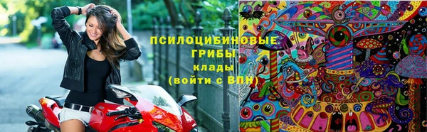 эйфоретик Майский
