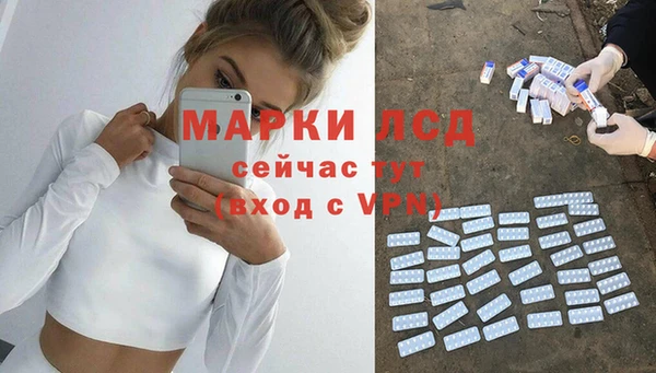 мяу мяу мука Магас