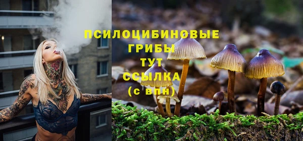 эйфоретик Майский