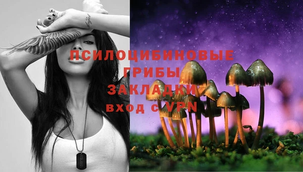 мяу мяу мука Магас