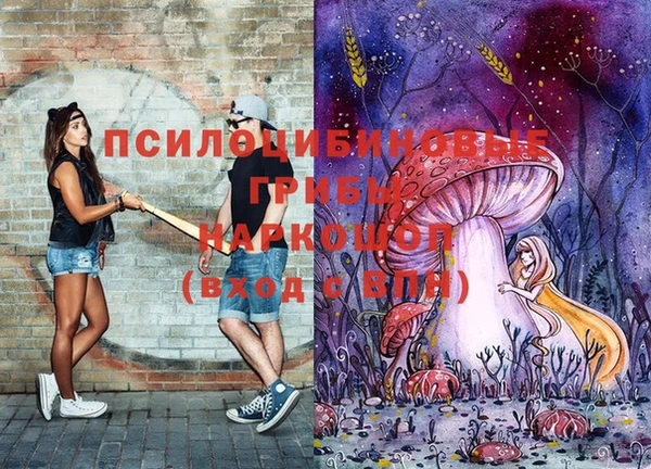 мяу мяу мука Магас