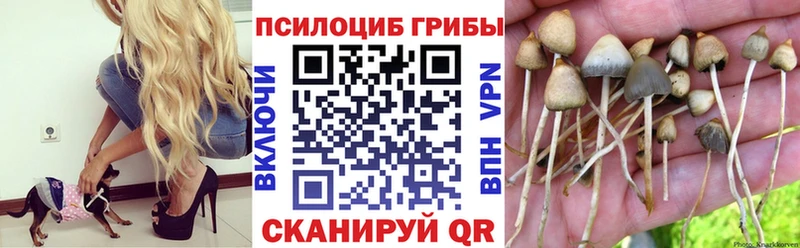 Псилоцибиновые грибы мицелий  Купить закладки  Оренбург 